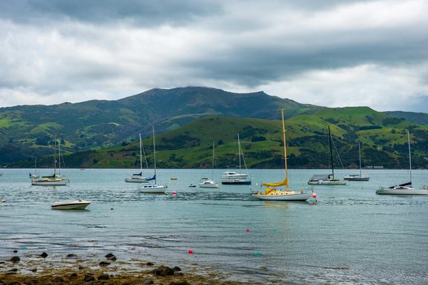 Comment vivre une expérience authentique de la culture Maori lors d'un séjour à Rotorua, Nouvelle-Zélande?